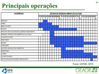 Principais operações
49
Fonte: IAPAR, 2019.
 