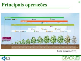 Principais operações
50
Fonte: Syngenta, 2019.
 