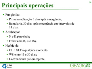  Fungicida:
 Primeira aplicação 5 dias após emergência;
 Ramularia, 30 dias após emergência em intervalos de
13 dias.
 Adubação:
 N e K parcelado;
 Foliar com B, Z e Mo.
 Herbicida:
 GL e GLT a qualquer momento;
 WS entre 15 e 30 dias;
 Convencional pré-emergente.
Principais operações
51
 