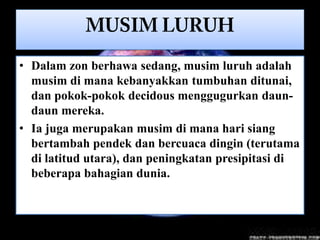 • Dalam zon berhawa sedang, musim luruh adalah
  musim di mana kebanyakkan tumbuhan ditunai,
  dan pokok-pokok decidous menggugurkan daun-
  daun mereka.
• Ia juga merupakan musim di mana hari siang
  bertambah pendek dan bercuaca dingin (terutama
  di latitud utara), dan peningkatan presipitasi di
  beberapa bahagian dunia.
 
