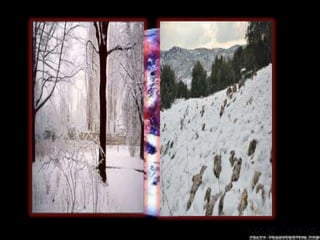 Fenomena empat musim