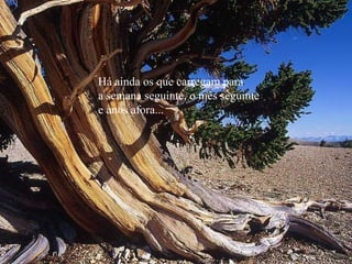 Há ainda os que carregam para a semana seguinte, o mês seguinte e anos afora... 