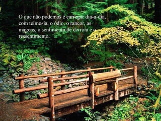 O que não podemos é carregar dia-a-dia,
com teimosia, o ódio, o rancor, as
mágoas, o sentimento de derrota e o
ressentimento.
 