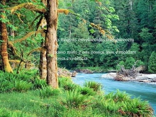 As mágoas envelhecidas transparecem
no
nosso rosto e nos nossos atos e moldam
nossa existência.
 