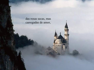 das rosas secas, mas
carregadas de amor,
 