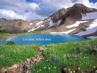 Luz atrai, beleza atrai.
 