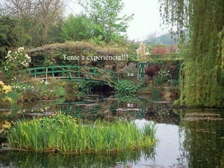 Tente a experiência!!!
 