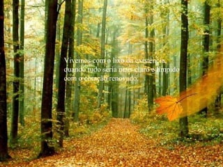 Vivemos com o lixo da existência,
quando tudo seria mais claro e límpido
com o coração renovado.
 