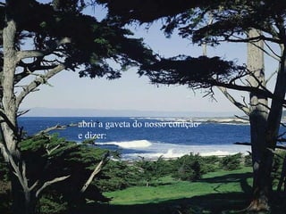 abrir a gaveta do nosso coração e dizer: 