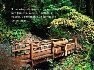 O que não podemos é carregar dia-a-dia, com teimosia, o ódio, o rancor, as  mágoas, o sentimento de derrota e o ressentimento. 