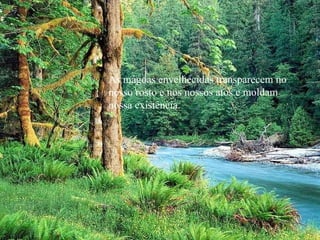 As mágoas envelhecidas transparecem no nosso rosto e nos nossos atos e moldam nossa existência. 