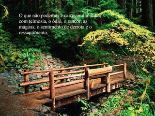 O que não podemos é carregar dia-a-dia, com teimosia, o ódio, o rancor, as  mágoas, o sentimento de derrota e o ressentimento. 