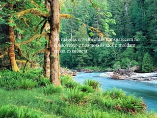 As mágoas envelhecidas transparecem no nosso rosto e nos nossos atos e moldam nossa existência. 