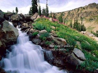 Sua vida é única e  você é único, 