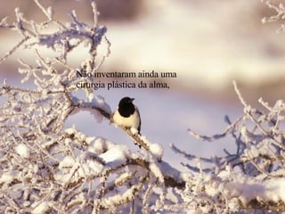 Não inventaram ainda uma cirurgia plástica da alma, 