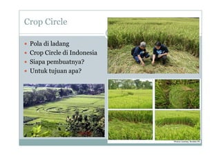 Crop Circle
p
P l di l d
 Pola di ladang
 Crop Circle di Indonesia
Si b t ?
 Siapa pembuatnya?
 Untuk tujuan apa?
 