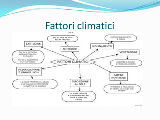 Fattori climatici

 
