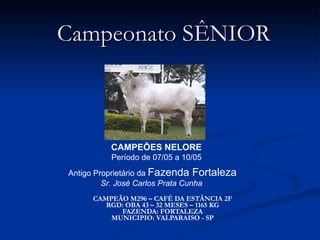 Campeonato SÊNIOR CAMPEÃO M296 – CAFÉ DA ESTÂNCIA 2F RGD: OBA 43 – 32 MESES – 1165 KG FAZENDA: FORTALEZA MUNICIPIO: VALPARAISO - SP CAMPEÕES NELORE Período de 07/05 a 10/05 Antigo Proprietário da  Fazenda Fortaleza Sr. José Carlos Prata Cunha  