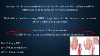 Aumento en la vasoconstricción, disminución de la vasodilatación y cambios
estructurales de la pared de los vasos sanguíneos
Endotelina 1, óxido nítrico y CGRP, receptores alfa 2 de noradenalina, radicales
libres y activación plaquetaria
Endotelina 1  vasocontrictor
CGRP  sust. 33 aa vasodilatador más potente identificado
15% F-Ray y ETC
15% F-Ray secundario
70% F-Ray primario
 