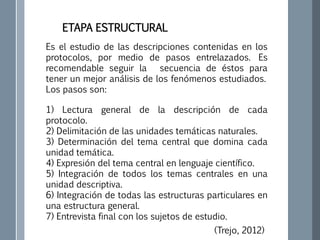 ETAPA ESTRUCTURAL
Es el estudio de las descripciones contenidas en los
protocolos, por medio de pasos entrelazados. Es
recomendable seguir la secuencia de éstos para
tener un mejor análisis de los fenómenos estudiados.
Los pasos son:
1) Lectura general de la descripción de cada
protocolo.
2) Delimitación de las unidades temáticas naturales.
3) Determinación del tema central que domina cada
unidad temática.
4) Expresión del tema central en lenguaje científico.
5) Integración de todos los temas centrales en una
unidad descriptiva.
6) Integración de todas las estructuras particulares en
una estructura general.
7) Entrevista final con los sujetos de estudio.
(Trejo, 2012)
 
