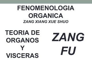 FENOMENOLOGIA
ORGANICA
ZANG XIANG XUE SHUO
TEORIA DE
ORGANOS
Y
VISCERAS
ZANG
FU
 