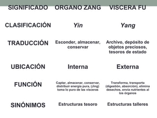 SIGNIFICADO ORGANO ZANG VISCERA FU
CLASIFICACIÓN Yin Yang
TRADUCCIÓN Esconder, almacenar,
conservar
Archivo, depósito de
objetos preciosos,
tesoros de estado
UBICACIÓN Interna Externa
FUNCIÓN Captar, almacenar, conservar,
distribuir energía pura, (Jing)
toma lo puro de las vísceras
Transforma, transporta
(digestión, absorción), elimina
desechos, envía nutrientes al
los órganos
SINÓNIMOS Estructuras tesoro Estructuras talleres
 
