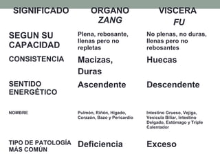 SIGNIFICADO ORGANO
ZANG
VISCERA
FU
SEGUN SU
CAPACIDAD
Plena, rebosante,
llenas pero no
repletas
No plenas, no duras,
llenas pero no
rebosantes
CONSISTENCIA Macizas,
Duras
Huecas
SENTIDO
ENERGÉTICO
Ascendente Descendente
NOMBRE Pulmón, Riñón, Hígado,
Corazón, Bazo y Pericardio
Intestino Grueso, Vejiga,
Vesícula Biliar, Intestino
Delgado, Estómago y Triple
Calentador
TIPO DE PATOLOGÍA
MÁS COMÚN
Deficiencia Exceso
 