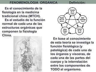 FENOMENOLOGIA ORGANICA Definición:
Es el conocimiento de la
fisiología en la medicina
tradicional china (MTCH).
Es el estudio de la función
normal de cada una de las
estructuras orgánicas que
componen la fisiología
China.
En base al conocimiento
de esta teoría se investiga la
función fisiológica (y
patológica) de cada uno de
los órganos y vísceras, de
cada una de las partes del
cuerpo y la interrelación
entre los componentes de
TODO el organismo.
 