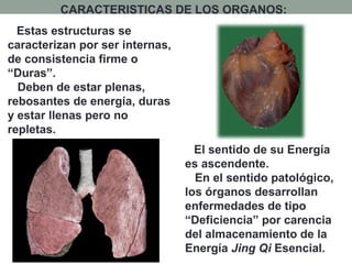 CARACTERISTICAS DE LOS ORGANOS:
Estas estructuras se
caracterizan por ser internas,
de consistencia firme o
“Duras”.
Deben de estar plenas,
rebosantes de energía, duras
y estar llenas pero no
repletas.
El sentido de su Energía
es ascendente.
En el sentido patológico,
los órganos desarrollan
enfermedades de tipo
“Deficiencia” por carencia
del almacenamiento de la
Energía Jing Qi Esencial.
 