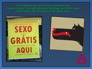 Os fenômenos perceptivos que encontramos nas figuras a seguir são explicados pelos psicólogos da Gestalt como sendo regidos pela lei básica da percepção visual: 