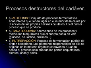 Procesos destructores del cadáver. a)  AUTOLISIS:  Conjunto de procesos fermentativos anaeróbicos que tienen lugar en el interior de la célula por la acción de las propias enzimas celulares. Es el primer proceso que se produce. b)  TANATOQUIMIA:  Alteraciones de los procesos y moléculas bioquímicas que el cuerpo posía en vida (glucosa, ac. láctico, enzimas...). c)  PUTREFACCIÓN : Proceso de fermentación pútrida de origen bacteriano. Los gérmenes responsables de ella se originas en la materia orgánica cadavérica. Cuando acaba el proceso solo quedan las partes esqueléticas, dientes, uñas y pelos. 