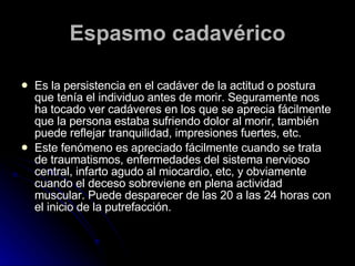 Espasmo cadavérico Es la persistencia en el cadáver de la actitud o postura que tenía el individuo antes de morir. Seguramente nos ha tocado ver cadáveres en los que se aprecia fácilmente que la persona estaba sufriendo dolor al morir, también puede reflejar tranquilidad, impresiones fuertes, etc.  Este fenómeno es apreciado fácilmente cuando se trata de traumatismos, enfermedades del sistema nervioso central, infarto agudo al miocardio, etc, y obviamente cuando el deceso sobreviene en plena actividad muscular. Puede desparecer de las 20 a las 24 horas con el inicio de la putrefacción.  
