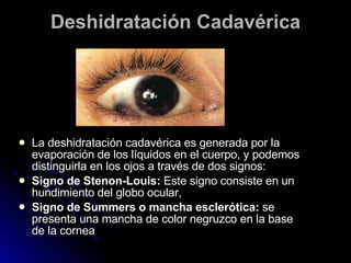 Deshidratación Cadavérica La deshidratación cadavérica es generada por la evaporación de los líquidos en el cuerpo, y podemos distinguirla en los ojos a través de dos signos: Signo de Stenon-Louis:  Este signo consiste en un hundimiento del globo ocular,  Signo de Summers o mancha esclerótica:  se presenta una mancha de color negruzco en la base de la cornea 