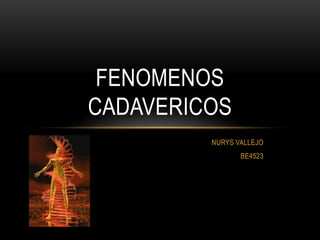 FENOMENOS
CADAVERICOS
         NURYS VALLEJO
                BE4523
 
