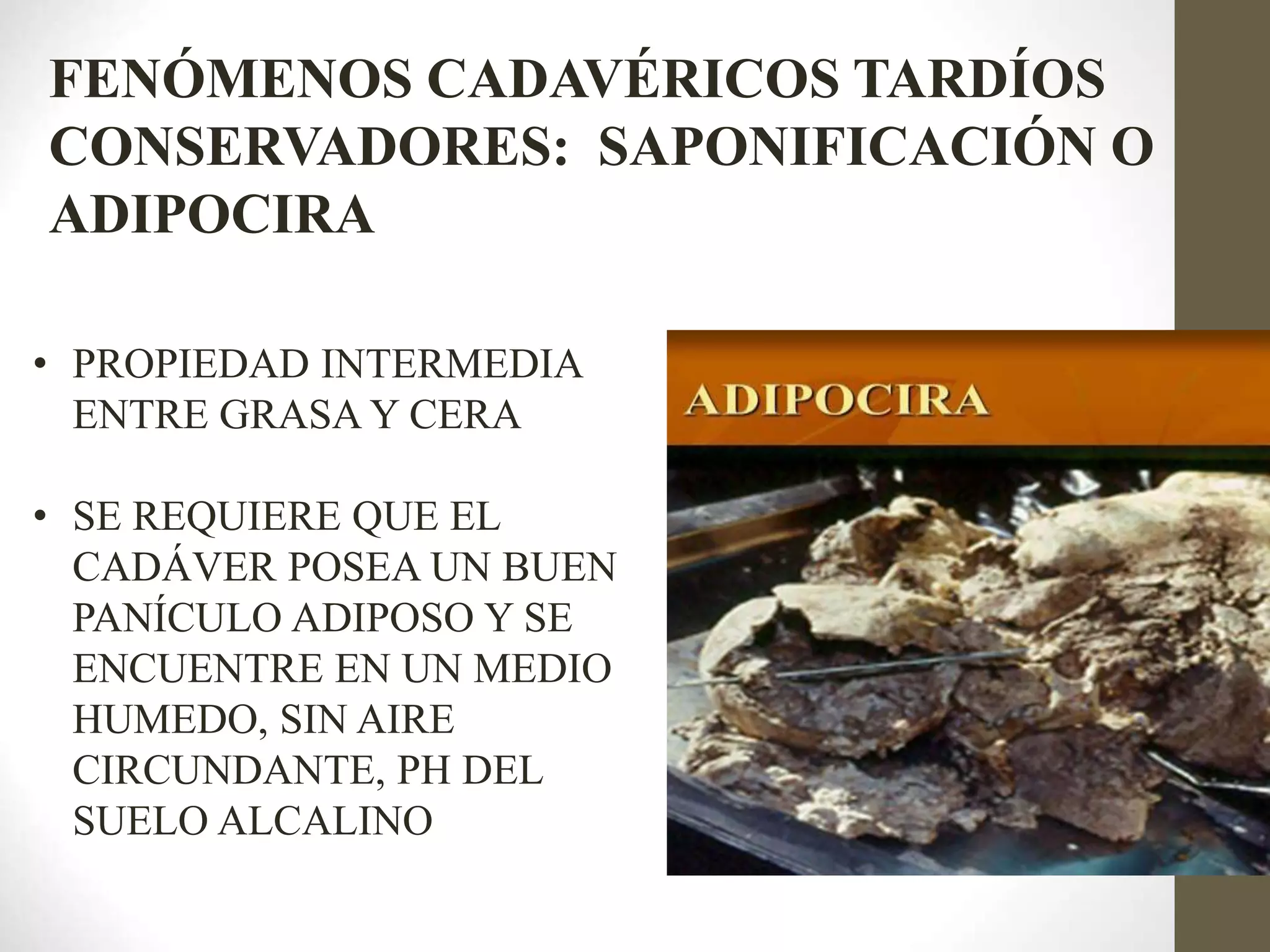 FENOMENOS_CADAVERICOS.ppt