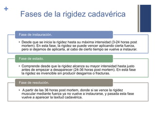 Fen menos Cadav ricos PPTX fen-menos-cadav-ricos-pptx