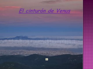 El cinturón de Venus
 