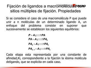 Fijación de ligandos a macromoléculas con
sitios múltiples de fijación. Propiedades
Si se considera el caso de una macromolécula P que puede
unir a n moléculas de un determinado ligando A, un
enfoque del problema consiste en suponer que
sucesivamente se establecen los siguientes equilibrios:
Cada etapa esta representada por una constante de
afinidad,Ki, correspondiente a la fijación la iésima molécula
deligando, que se explicita en cada caso.
n n
P A PA
PA A PA
PA A PA
PA A PA
 
 
 
 
2
2 3
1
 