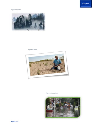 Página ---- C
ANEXOS
Figure 5: Heladas
Figure 7: Sequía
Figure 6: Inundaciones
 