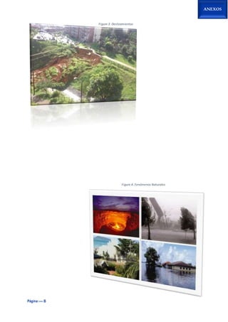 Página ---- B
ANEXOS
Figure 3: Deslizamientos
Figure 4: Fenómenos Naturales
 