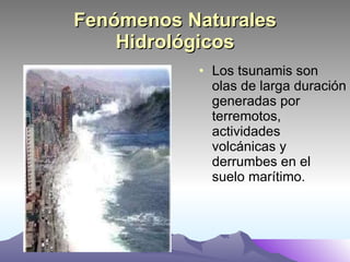 Fenómenos Naturales Hidrológicos Los tsunamis son olas de larga duración generadas por terremotos, actividades volcánicas y derrumbes en el suelo marítimo.  