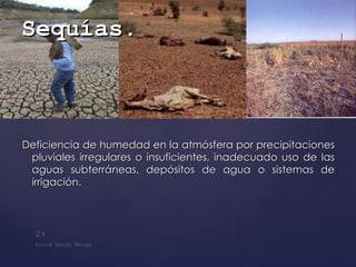 Deficiencia de humedad en la atmósfera por precipitaciones pluviales irregulares o insuficientes, inadecuado uso de las aguas subterráneas, depósitos de agua o sistemas de irrigación.  Sequías . 