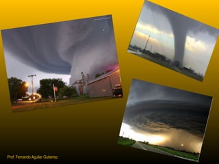 Prof. Fernando Aguilar Gutierrez 
 