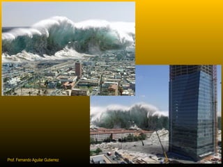 Prof. Fernando Aguilar Gutierrez 
 
