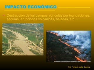 IMPACTO ECONÓMICO 
• Destrucción de los campos agrícolas por inundaciones, 
sequías, erupciones volcánicas, heladas, etc.. 
Prof. Fernando Aguilar Gutierrez 
 