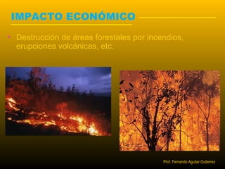 IMPACTO ECONÓMICO 
• Destrucción de áreas forestales por incendios, 
erupciones volcánicas, etc. 
Prof. Fernando Aguilar Gutierrez 
 