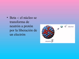 Be ta -: el núcleo se transforma de neutrón a   protón por la liberación de un electrón 