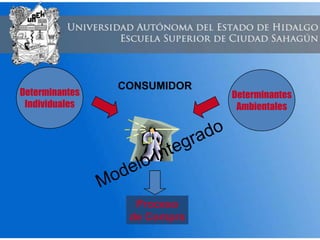 Proceso
de Compra
CONSUMIDOR
Determinantes
Individuales
Determinantes
Ambientales
 