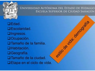 Edad.
Escolaridad.
Ingresos.
Ocupación.
Tamaño de la familia.
Habitación.
Geografía.
Tamaño de la ciudad.
Etapa en el ciclo de vida.
 