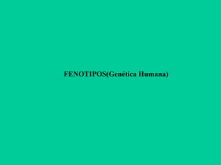 FENOTIPOS(Genética Humana)
 